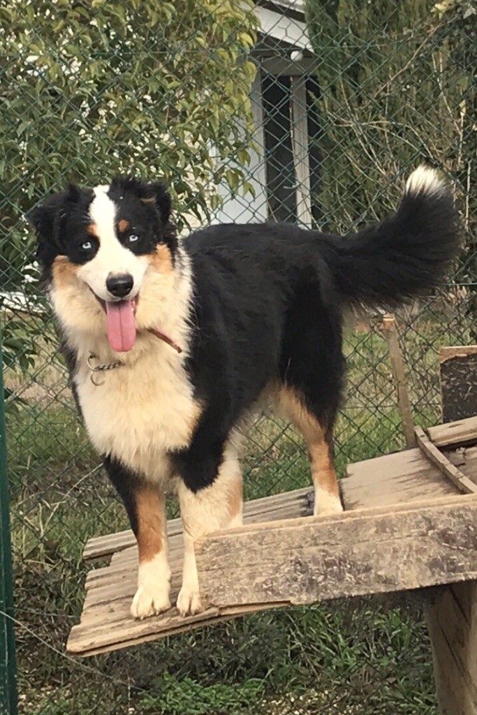 Olween Des Minis Pepites