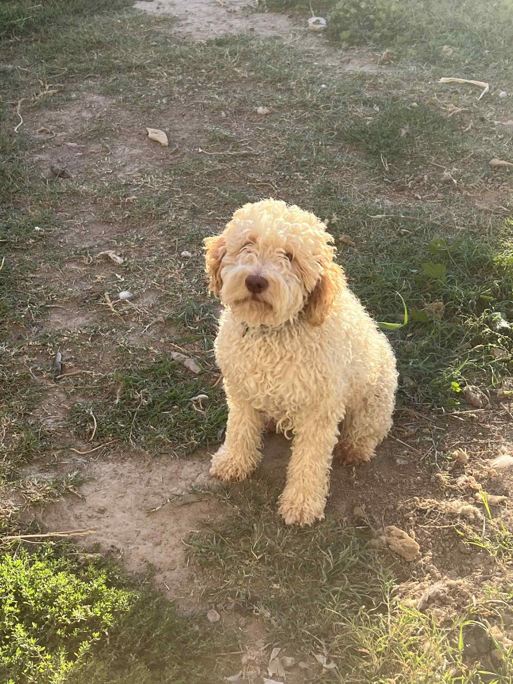 Toscane De La Fount D'Argent