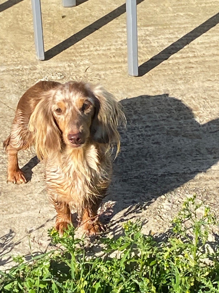 Zuna dit milka kinchville